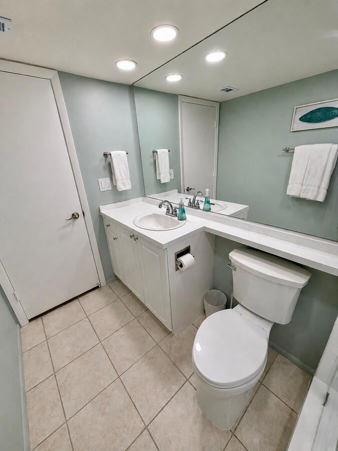 Unit 310: Primary Bath (2)